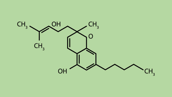 CBN, CBC, CBG And THCV: Minor Cannabinoids | SQDC